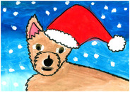 0148_IQ005612_9553_3E78_L_Front