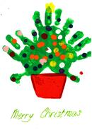 IQ00268200000212_Front